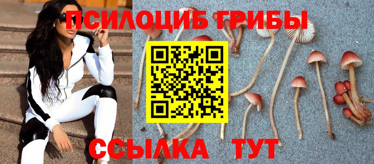 Псилоцибиновые грибы мицелий  Вход с VPN  Комсомольск-на-Амуре 