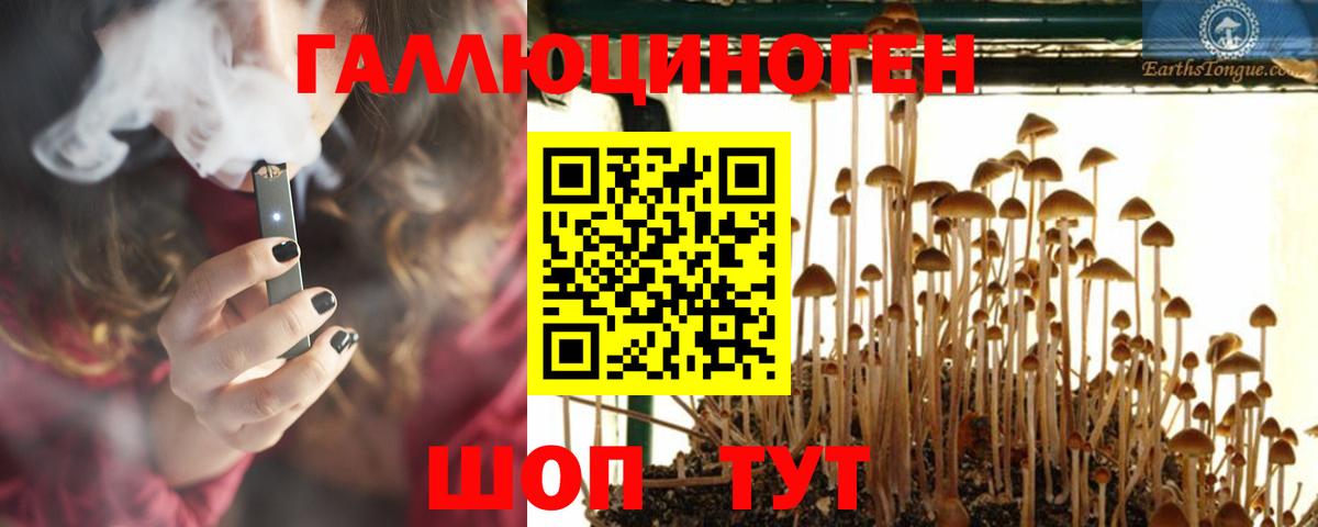 Галлюциногенные грибы GOLDEN TEACHER Комсомольск-на-Амуре